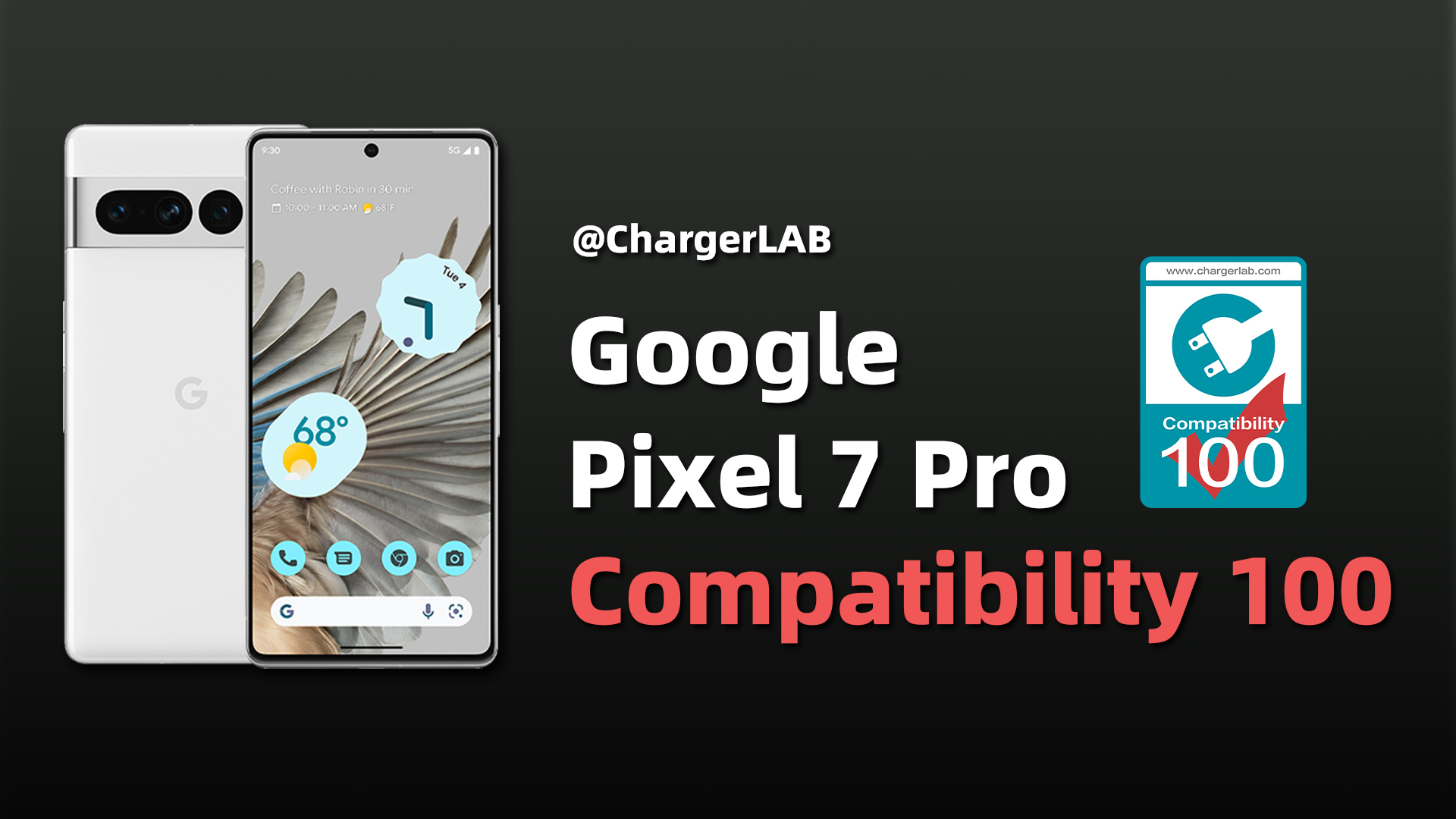 Google Pixel 7 Pro - ChargerLAB Compatibility 100
