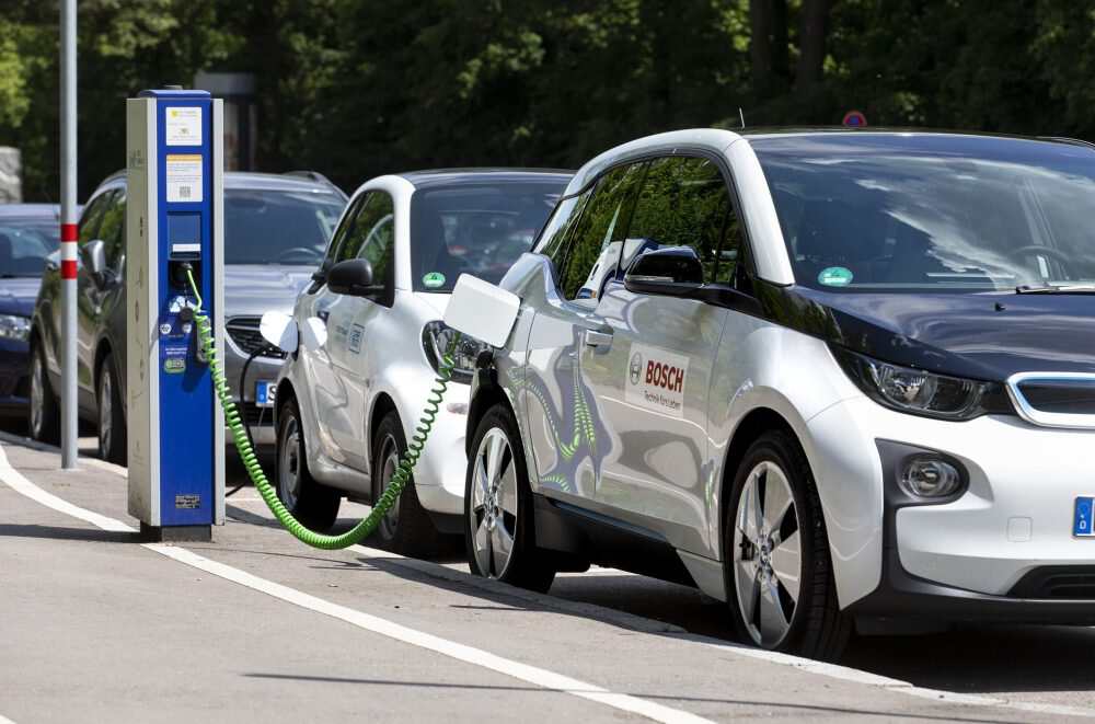 Bosch to End